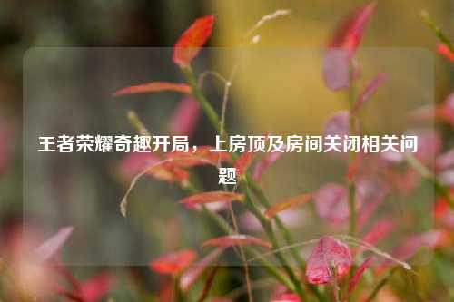 王者荣耀奇趣开局,上房顶及房间关闭相关问题