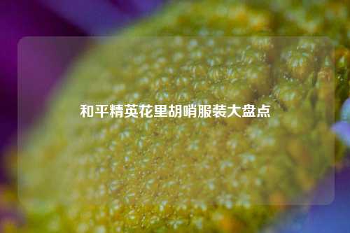 和平精英花里胡哨服装大盘点