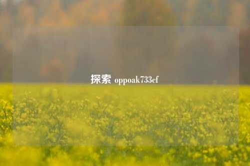探索 oppoak733cf