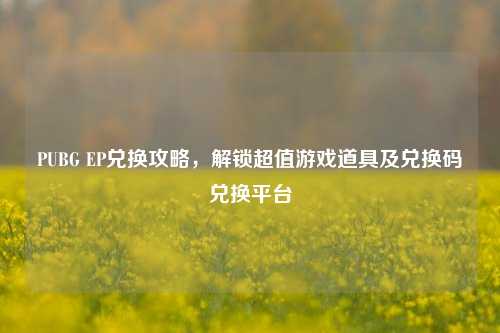 PUBG EP兑换攻略,解锁超值游戏道具及兑换码兑换平台