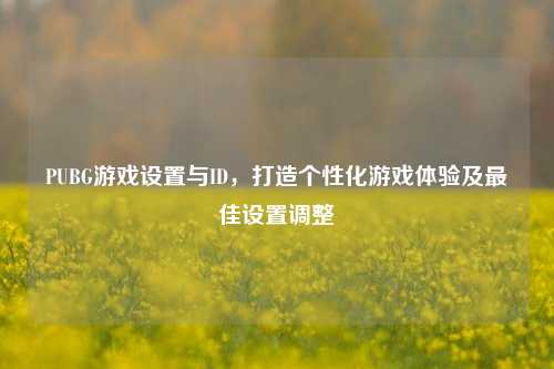 PUBG游戏设置与ID，打造个性化游戏体验及最佳设置调整