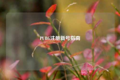 PUBG注册新号指南