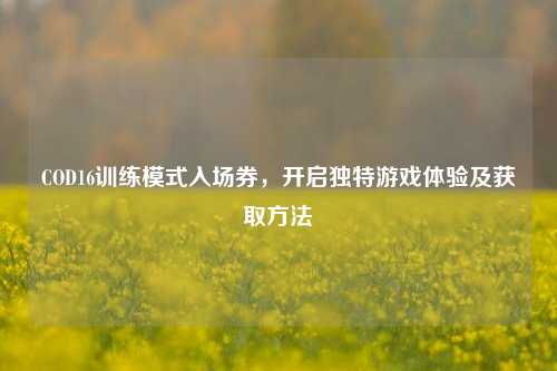 COD16训练模式入场券，开启独特游戏体验及获取方法