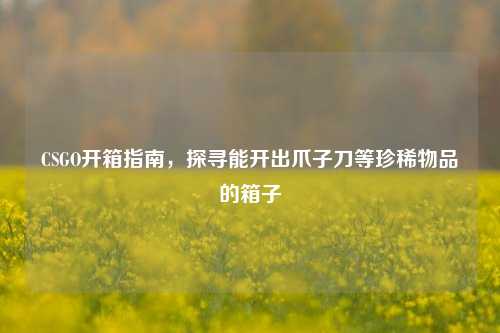CSGO开箱指南，探寻能开出爪子刀等珍稀物品的箱子