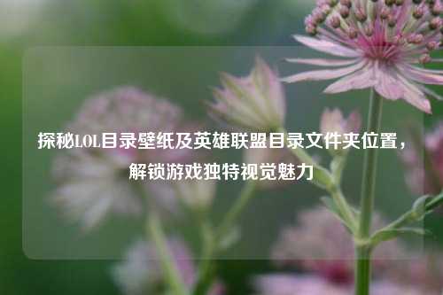 探秘LOL目录壁纸及英雄联盟目录文件夹位置，解锁游戏独特视觉魅力