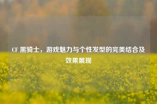CF 黑骑士，游戏魅力与个性发型的完美结合及效果展现
