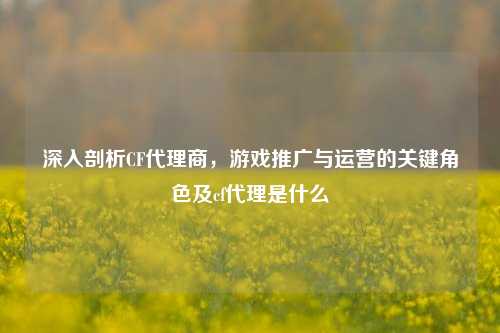 深入剖析CF代理商,游戏推广与运营的关键角色及cf代理是什么