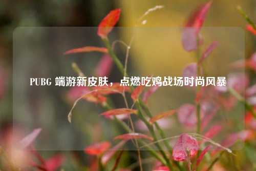 PUBG 端游新皮肤，点燃吃鸡战场时尚风暴