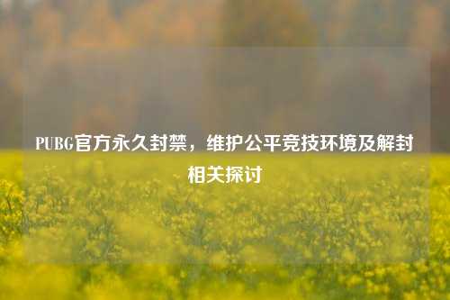 PUBG官方永久封禁，维护公平竞技环境及解封相关探讨
