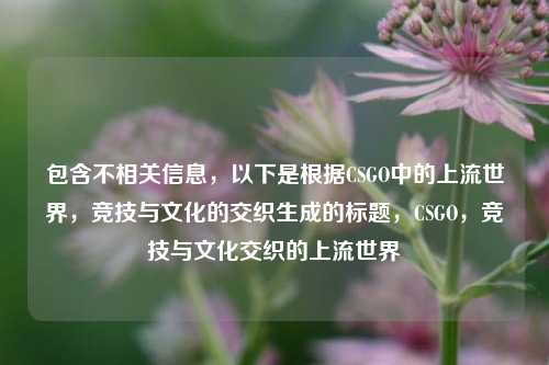 包含不相关信息，以下是根据CSGO中的上流世界，竞技与文化的交织生成的标题，CSGO，竞技与文化交织的上流世界
