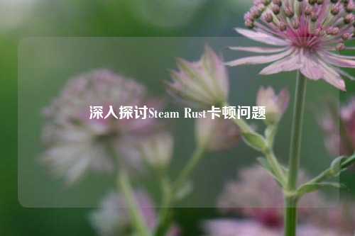 深入探讨Steam Rust卡顿问题