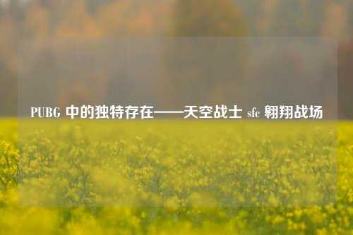 PUBG 中的独特存在——天空战士 sfc 翱翔战场