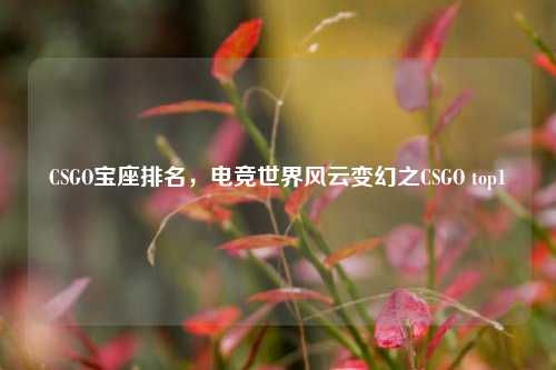 CSGO宝座排名，电竞世界风云变幻之CSGO top1