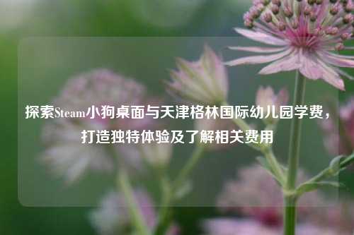 探索Steam小狗桌面与天津格林国际幼儿园学费，打造独特体验及了解相关费用