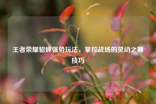 王者荣耀貂蝉强势玩法，掌控战场的灵动之舞技巧