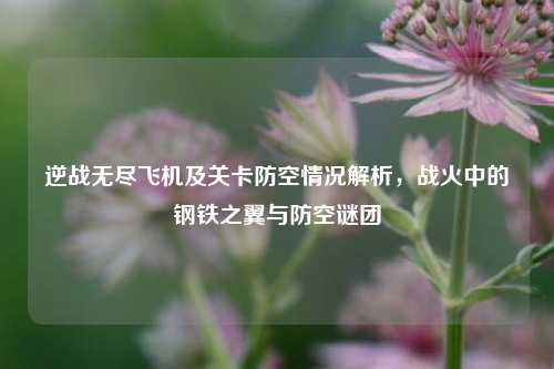 逆战无尽飞机及关卡防空情况解析,战火中的钢铁之翼与防空谜团