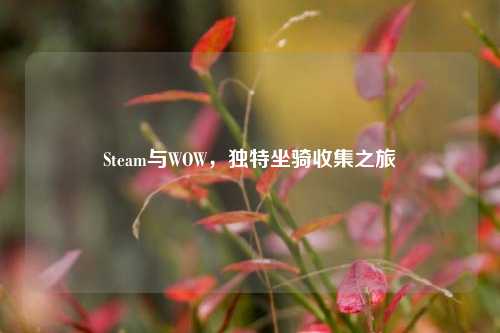 Steam与WOW，独特坐骑收集之旅