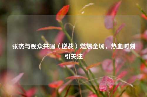 张杰与观众共唱〈逆战〉燃爆全场，热血时刻引关注