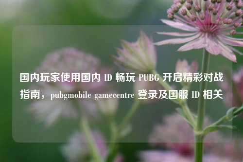 国内玩家使用国内 ID 畅玩 PUBG 开启精彩对战指南，pubgmobile gamecentre 登录及国服 ID 相关