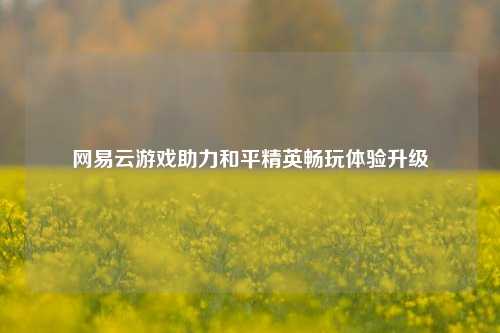 网易云游戏助力和平精英畅玩体验升级