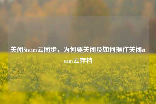关闭Steam云同步，为何要关闭及如何操作关闭steam云存档