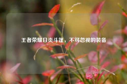 王者荣耀日炎斗篷,不可忽视的装备