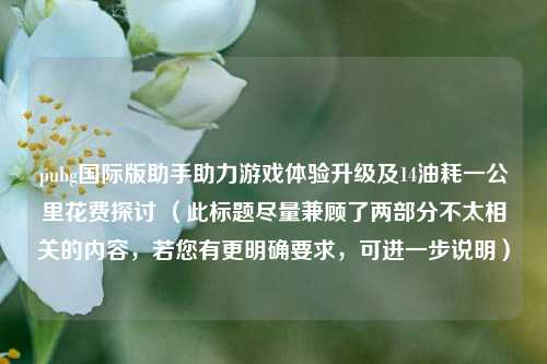 pubg国际版助手助力游戏体验升级及14油耗一公里花费探讨 （此标题尽量兼顾了两部分不太相关的内容，若您有更明确要求，可进一步说明）