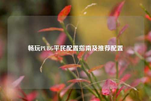 畅玩PUBG平民配置指南及推荐配置