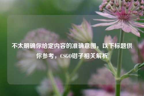不太明确你给定内容的准确意图，以下标题供你参考，CSGO钳子相关解析