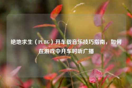 绝地求生（PUBG）开车载音乐技巧指南，如何在游戏中开车时听广播