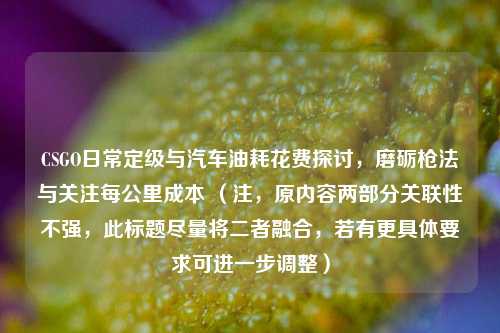 CSGO日常定级与汽车油耗花费探讨，磨砺枪法与关注每公里成本 （注，原内容两部分关联性不强，此标题尽量将二者融合，若有更具体要求可进一步调整）