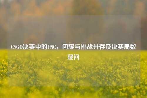 CSGO决赛中的FNC，闪耀与挑战并存及决赛局数疑问