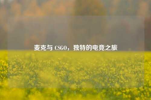 麦克与 CSGO，独特的电竞之旅