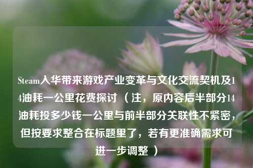 Steam入华带来游戏产业变革与文化交流契机及14油耗一公里花费探讨 （注，原内容后半部分14油耗投多少钱一公里与前半部分关联性不紧密，但按要求整合在标题里了，若有更准确需求可进一步调整 ）