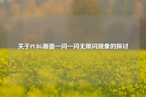 关于PUBG画面一闪一闪无限闪现象的探讨