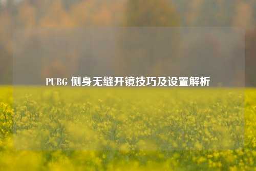 PUBG 侧身无缝开镜技巧及设置解析