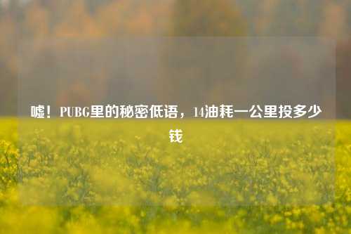 嘘!PUBG里的秘密低语,14油耗一公里投多少钱