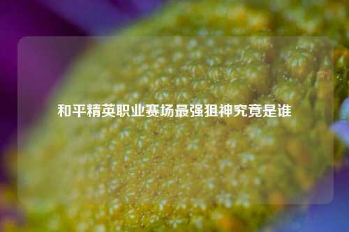 和平精英职业赛场最强狙神究竟是谁