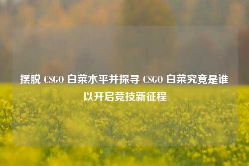 摆脱 CSGO 白菜水平并探寻 CSGO 白菜究竟是谁以开启竞技新征程