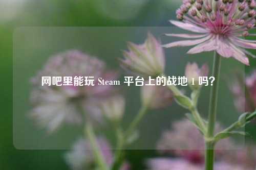 网吧里能玩 Steam 平台上的战地 1 吗？