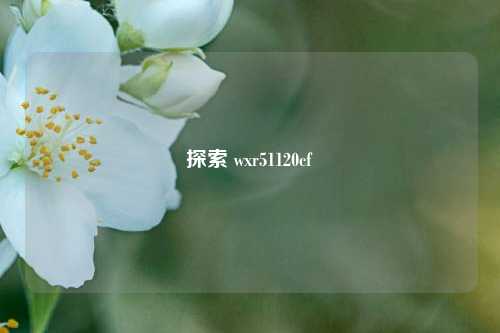 探索 wxr51120cf