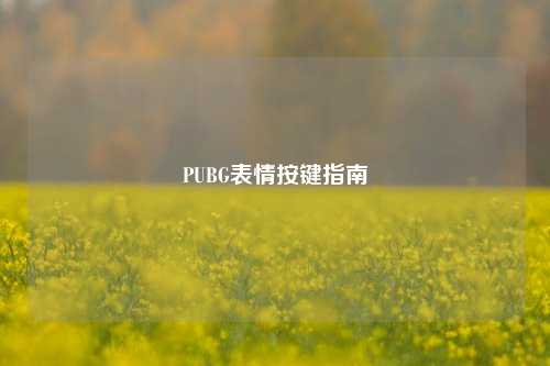 PUBG表情按键指南
