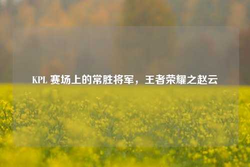 KPL 赛场上的常胜将军，王者荣耀之赵云