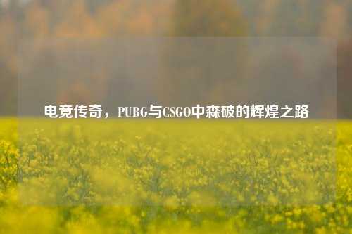 电竞传奇，PUBG与CSGO中森破的辉煌之路