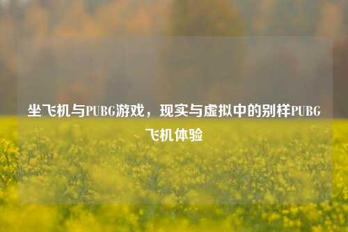坐飞机与PUBG游戏，现实与虚拟中的别样PUBG飞机体验