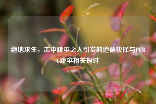 绝地求生,击中跳伞之人引发的道德抉择与PUBG跳伞相关探讨