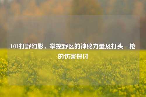 LOL打野幻影，掌控野区的神秘力量及打头一枪的伤害探讨