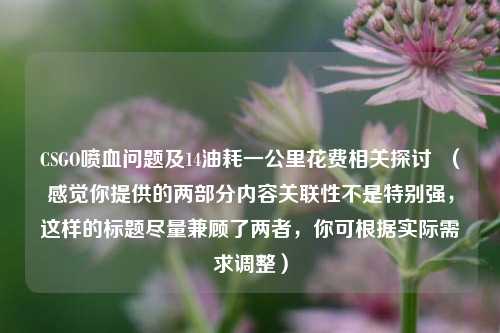 CSGO喷血问题及14油耗一公里花费相关探讨  （感觉你提供的两部分内容关联性不是特别强，这样的标题尽量兼顾了两者，你可根据实际需求调整）
