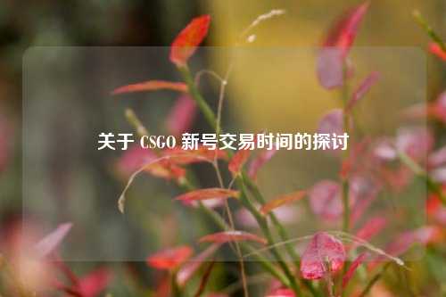 关于 CSGO 新号交易时间的探讨