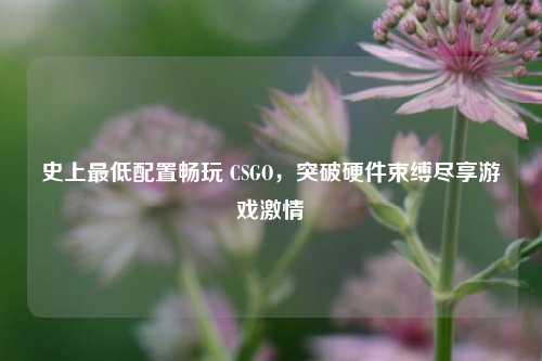 史上最低配置畅玩 CSGO，突破硬件束缚尽享游戏激情